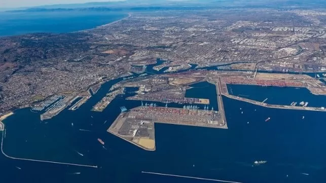 Panda-Professional team featuring all-inclusive supply chain services